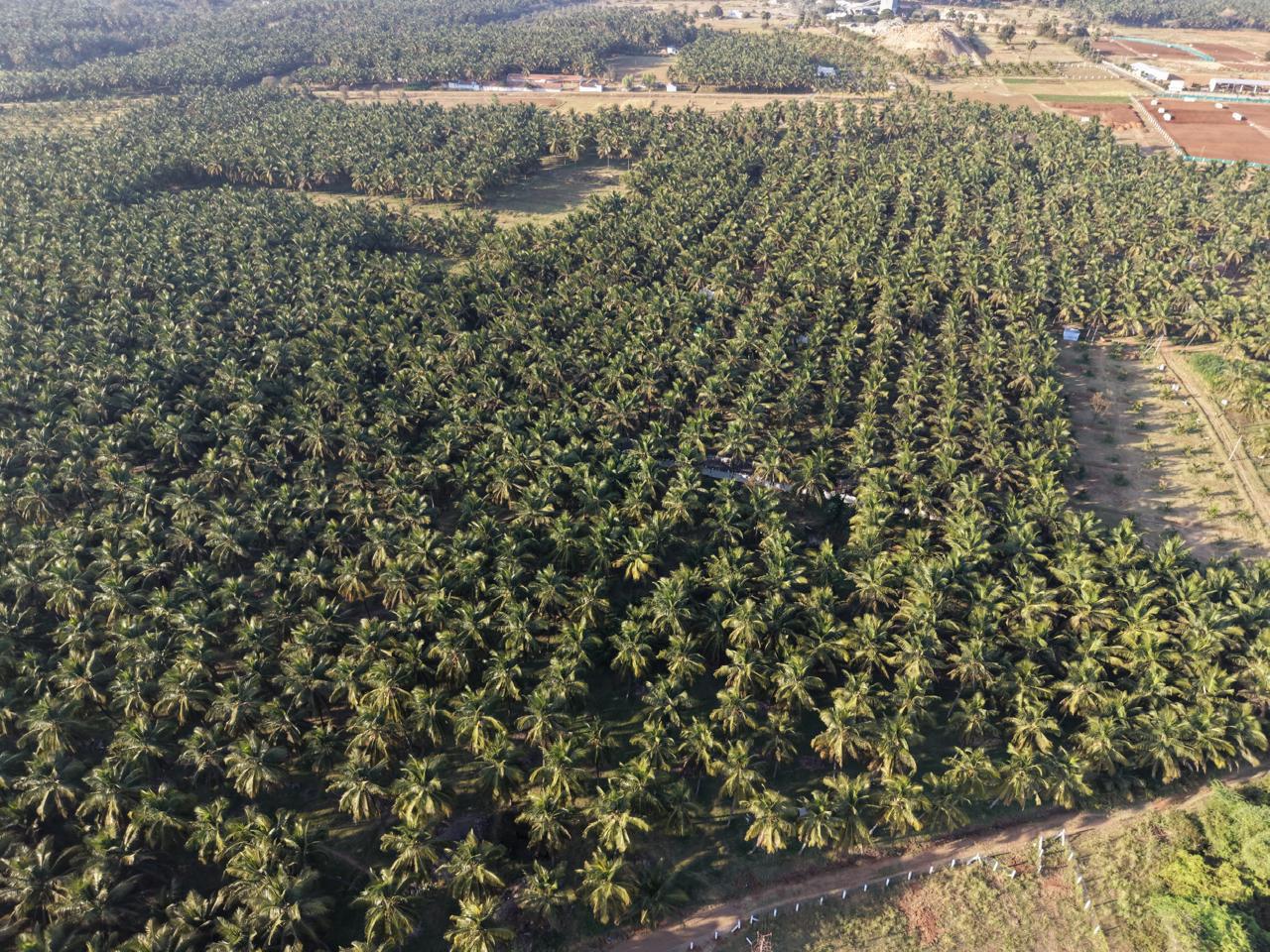 Aranya Land Developers