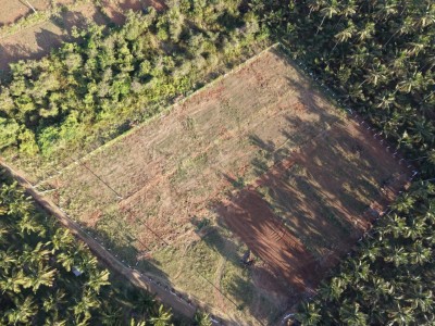 Aranya Land Developers