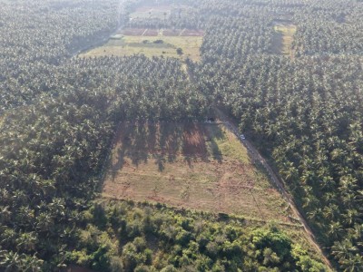 Aranya Land Developers