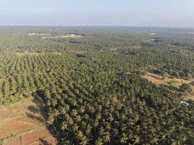 Aranya Land Developers