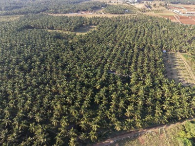 Aranya Land Developers